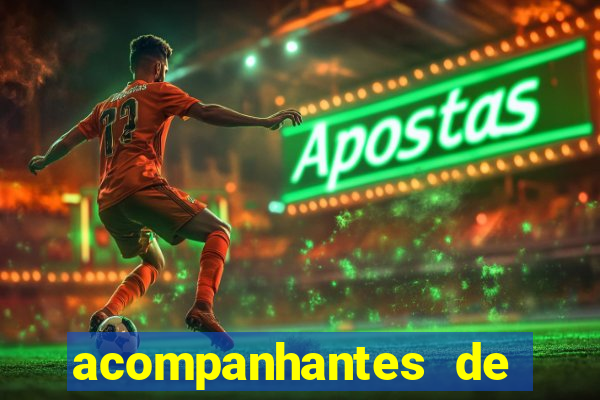 acompanhantes de luxo sc